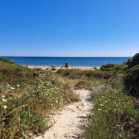 Duplex En A 15 Minutos En Coche De Mejores Playas De Espana Lejlighed